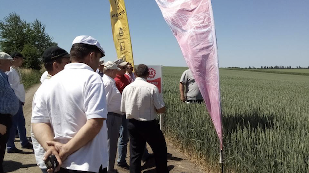 Огляд виробничих посівів  озимої пшениці в ПП «Агрошляхбуд»